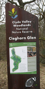 Cleghorn Glen NNR